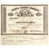 Image 1 : Quincy Mining Co. Stock