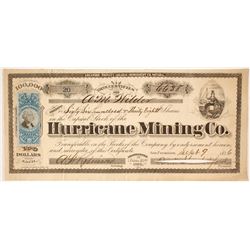 Hurricane Mining Company Stock