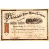 Image 1 : Philadelphia Silver Mining Company of Nevada Stock