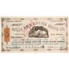Image 1 : Rolla Gold & Silver Mining Company Stock