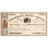 Image 1 : Strawberry Mining Company Stock - Aurora Dateline