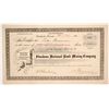 Image 1 : Shoshone National Bank Mining Company Stock Certificate