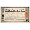 Image 1 : Boden & Larkin Silver Mining Company Stock