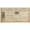 Image 1 : Brennus Gold & Silver Mining Company Stock