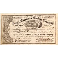 Pacific Tunnel & Mining Company Stock