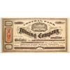 Image 1 : Central Park Mining Company Stock
