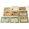 Image 1 : Nine Different Goldfield, Nevada Mining Stock Certificates