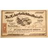 Image 1 : Ina Ledge Gold & Silver Mining Company Stock
