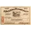 Image 1 : St. Mary's Silver Mining Company Stock