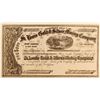 Image 1 : St. Louis Gold & Silver Mining Company Stock - with Big Four W. S. O'Brien Signature