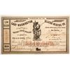 Image 1 : Lady Washington Silver Mining Company Stock