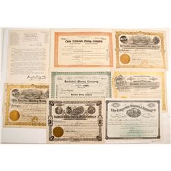 Seven New Mexico stock certificates & One Letter