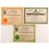 Image 1 : Three New Mexico Territory Mining Stock