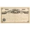 Image 1 : Snively Copper Mining Company Stock: Rare Large and Decorative