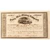 Image 1 : Very Rare Stony Man Mining Company Stock