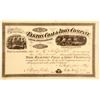Image 1 : Elkton Coal & Iron Company Stock