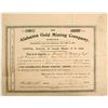 Image 1 : Alabama Gold Mining Company Stock - English Cert