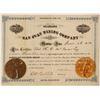 Image 1 : Alabama San Juan Mining Company Stock Certificate