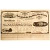 Image 1 : Mexican Pacific Coal & Iron, Mining & Land Company Stock
