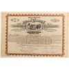 Image 1 : Bear Valley Irrigation Company stock