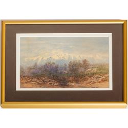 Mountain landscape