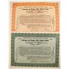 Image 1 : Lackawanna and Wyoming Valley Railroad Stocks (2)