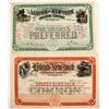Image 1 : Lehigh and New York Railroad Stocks (2)