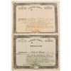 Image 1 : Lehigh and New York Railroad Stocks (2)