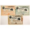 Image 1 : Lehigh Valley Railroad Stocks (3)