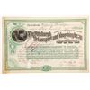 Image 1 : Pittsburgh, McKeesport and Youghiogheny Railroad Stock