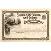 Image 1 : Silver City, Deming and Pacific Railroad Stock