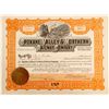 Image 1 : Spokane, Valley & Northern Railway Company Stock