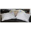 Image 1 : LOT OF 4 ASSORTED PILLOWS