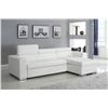 Image 1 : PARSON WHITE SECTIONAL PULLOUT BED W/ STORAGE