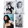 Image 1 : Sophia Loren