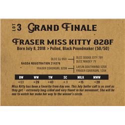 Fraser miss kitty 828f