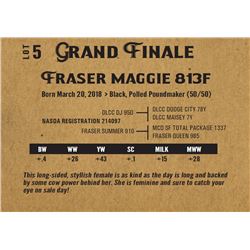 Fraser maggie 813f