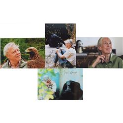 Jane Goodall and David Attenborough Signed Photographs