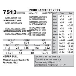 INDRELAND EXT 7513