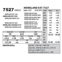 INDRELAND EXT 7527