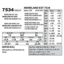 INDRELAND EXT 7534