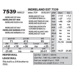 INDRELAND EXT 7539