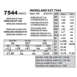 INDRELAND EXT 7544