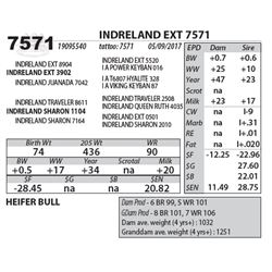 INDRELAND EXT 7571