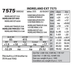 INDRELAND EXT 7575