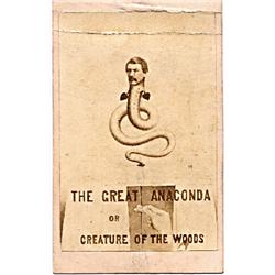 CVD. "The Great Anaconda, or Creature of the Woods