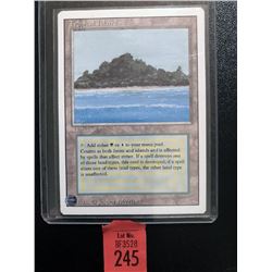 MTG Tropical Island Card