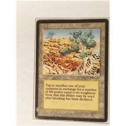 MTG Diamond Valley Card