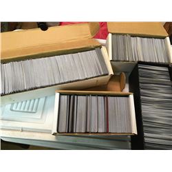 Magic The Gathering Card Collection