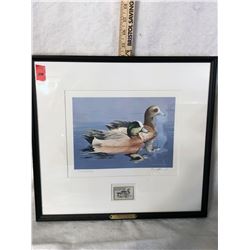 Ducks Unlimited Print